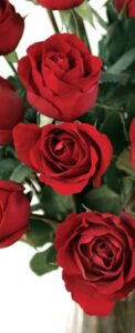Find Fresh, Organic, Local Flowers For Mother's Day Image